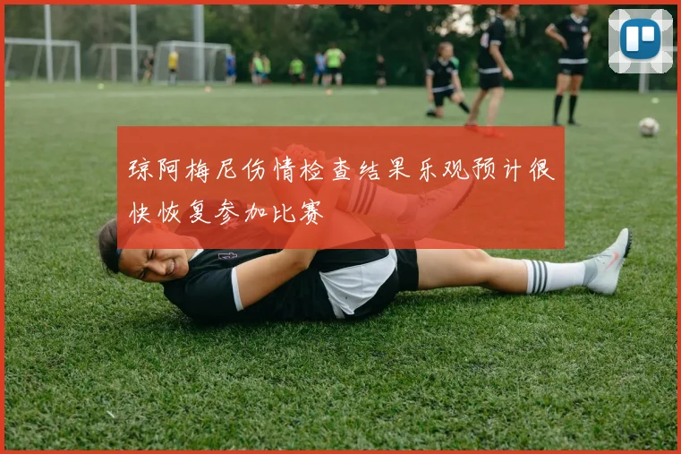 琼阿梅尼伤情检查结果乐观预计很快恢复参加比赛
