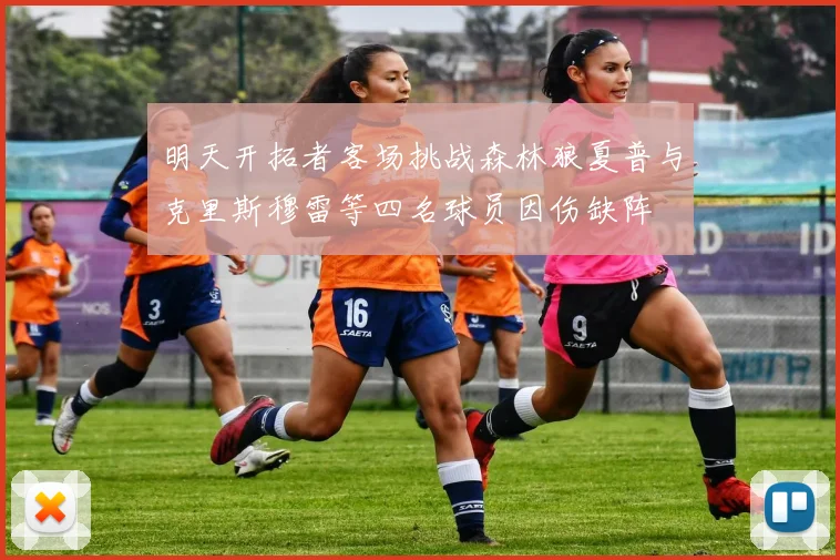 明天开拓者客场挑战森林狼夏普与克里斯穆雷等四名球员因伤缺阵