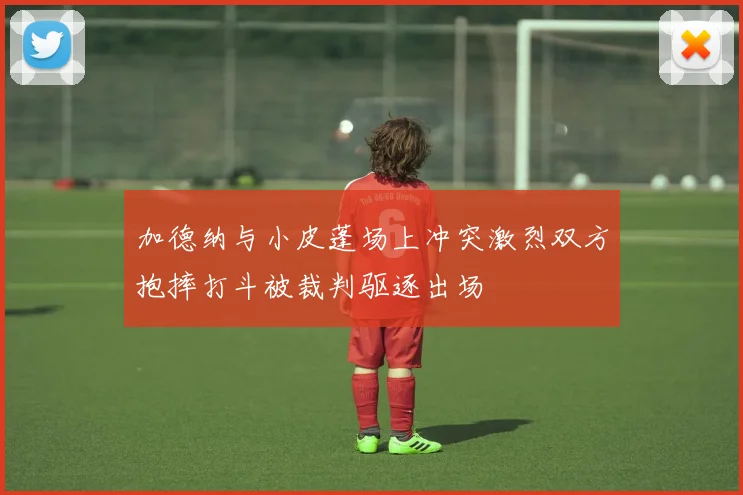 加德纳与小皮蓬场上冲突激烈双方抱摔打斗被裁判驱逐出场