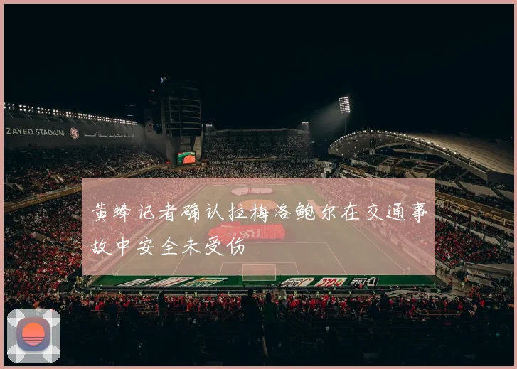 黄蜂记者确认拉梅洛鲍尔在交通事故中安全未受伤